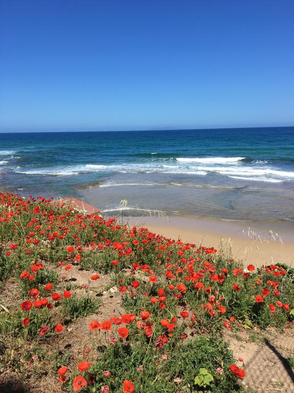 Artemisia Sardegna Hotel Tergu Kültér fotó